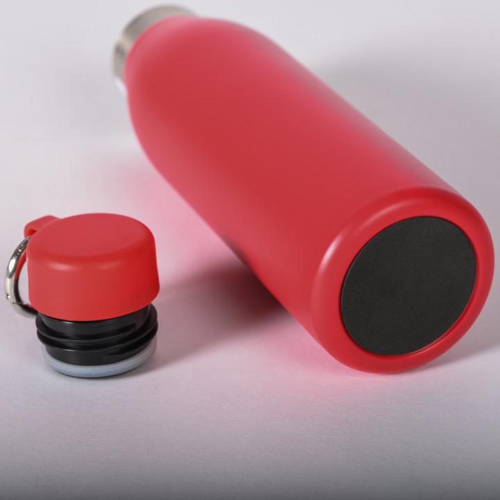 Termo 500 ml de doble pared