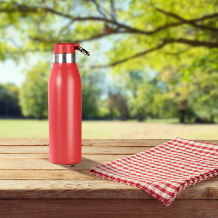 Termo 500 ml de doble pared