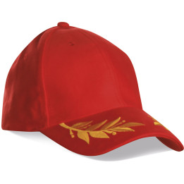 Gorra 6 paneles espiga 100% algodón