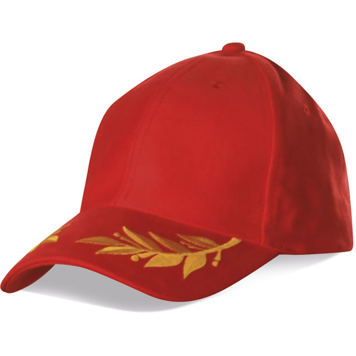Gorra 6 paneles espiga 100% algodón