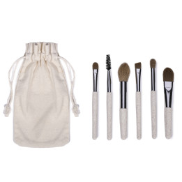 Set de brochas de maquillaje