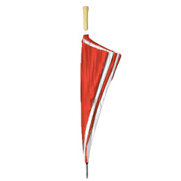 Paraguas golf maxi 30" manual